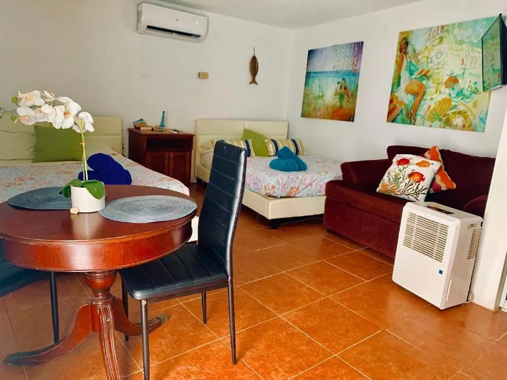 Ventana Va101 At Arecibo 681 Ocean Drive Apartment
